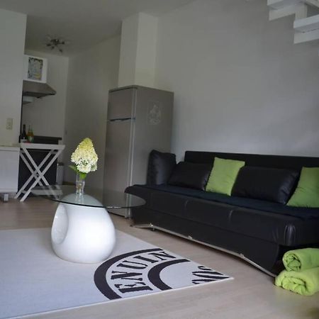Ferienwohnung Stimmer グライナウ エクステリア 写真