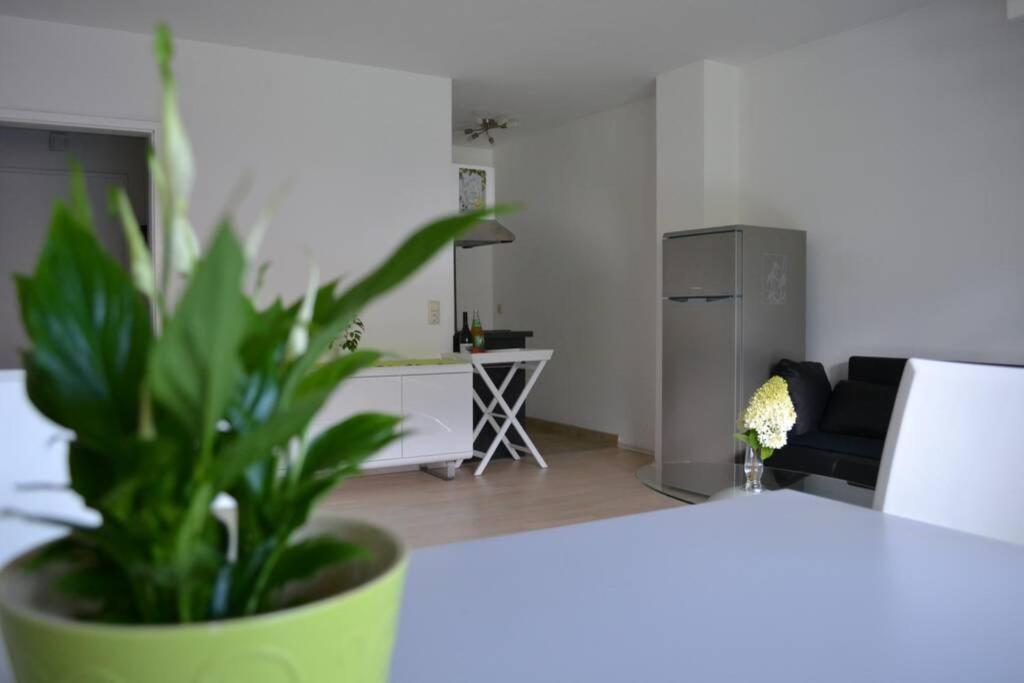 Ferienwohnung Stimmer グライナウ エクステリア 写真