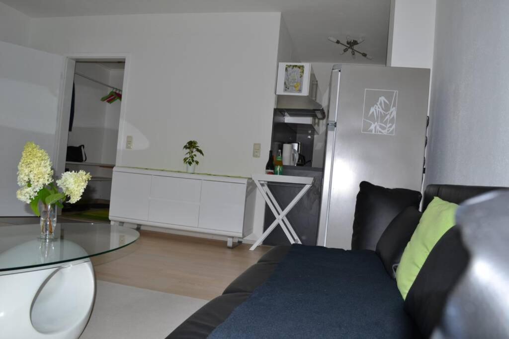 Ferienwohnung Stimmer グライナウ エクステリア 写真