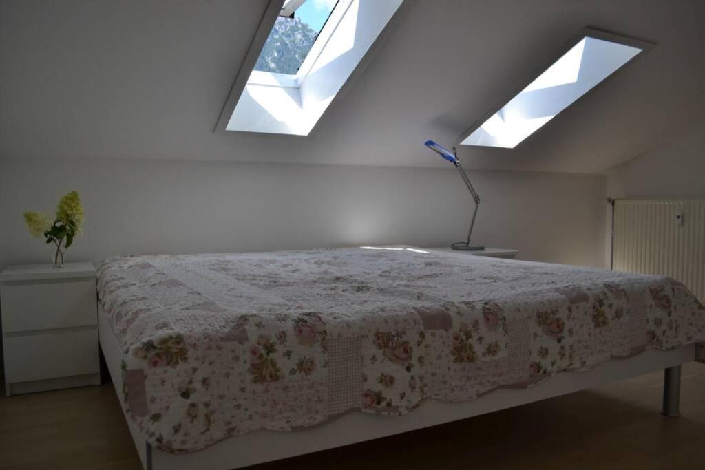 Ferienwohnung Stimmer グライナウ エクステリア 写真