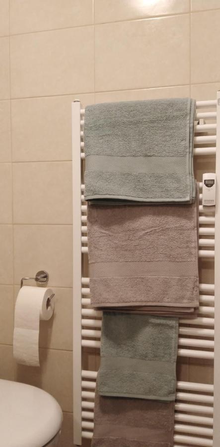 Ferienwohnung Stimmer グライナウ エクステリア 写真
